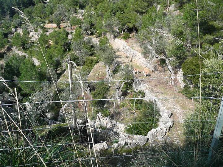 sizilien-mallorca 116.jpg - Bei Son Augustinus (Foto E. Major)